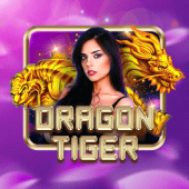 Dragon Tiger live table at Casino Plus Owner
